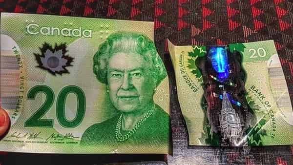 Канадский Доллар прогноз на 4 — 8 сентября 2017