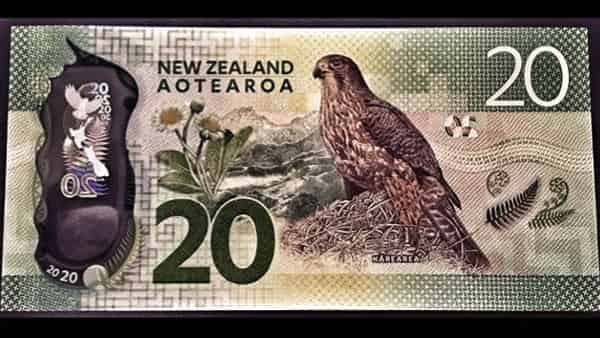 Форекс прогноз и аналитика NZD/USD на 26 января 2023