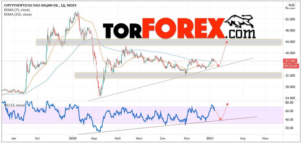 Сургутнефтегаз прогноз на сегодня. Сургутнефтегаз акции цена. Сургутнефтегаз вид акции. Акции Сургутнефтегаза форум. Акции Сургутнефтегаз форум.