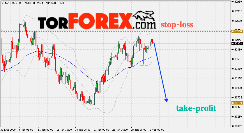 Валютная пара NZD/CAD – торговые сигналы на 2 февраля 2021