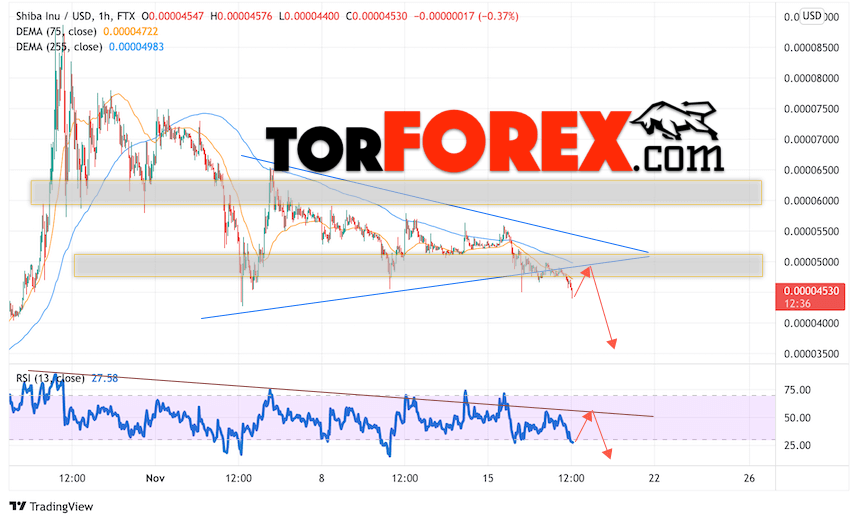Shiba Inu прогноз курса на 19 ноября 2021