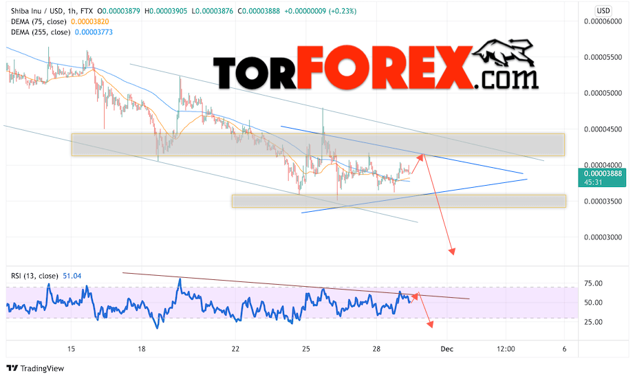 Shiba Inu прогноз курса на 30 ноября 2021