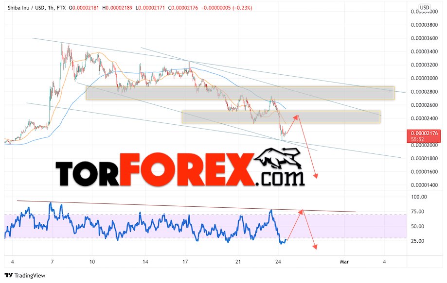 Shiba Inu прогноз курса на 25 февраля 2022