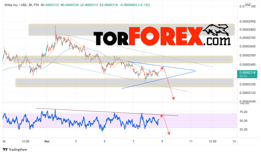 Shiba Inu прогноз курса на 9 марта 2022