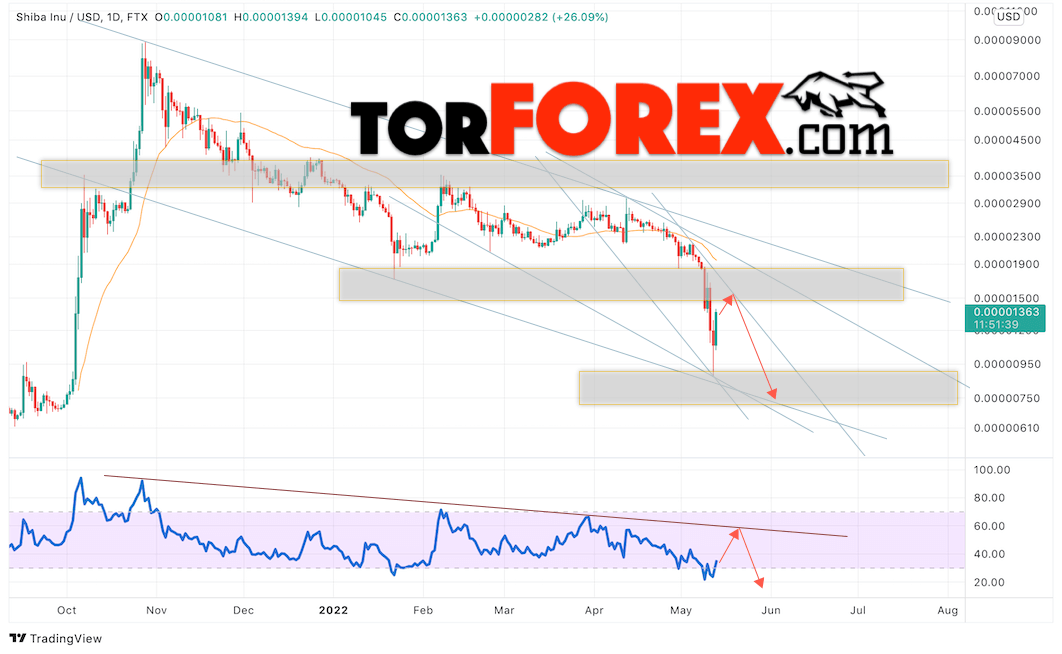 SHIBA INU прогноз на монеты 16 — 20 мая 2022