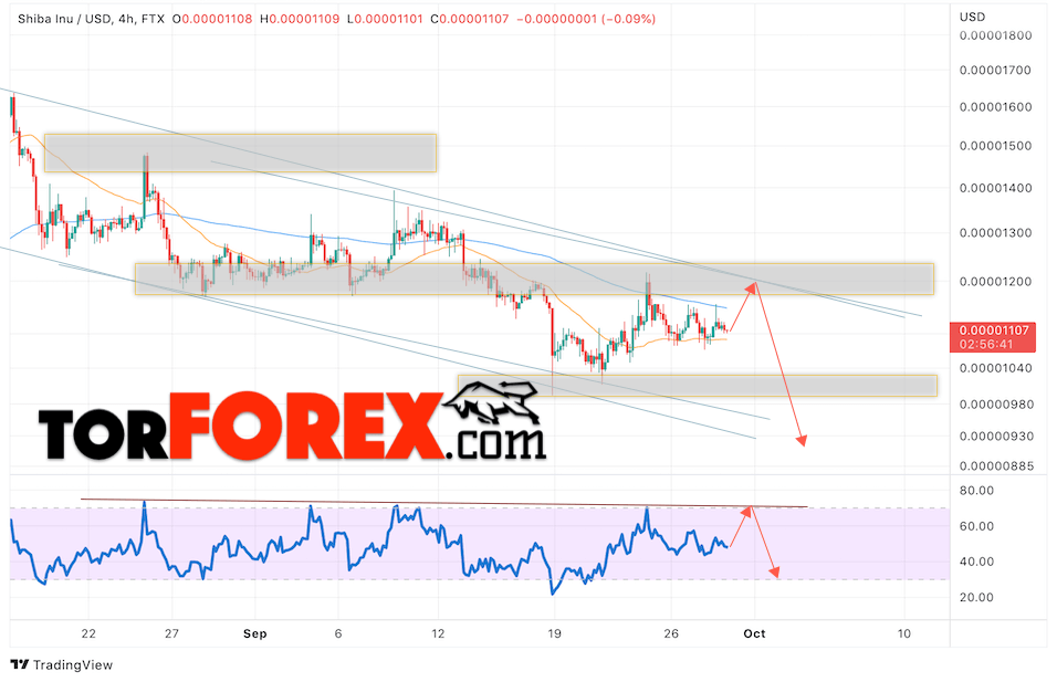 Shiba Inu прогноз курса на 30 сентября 2022