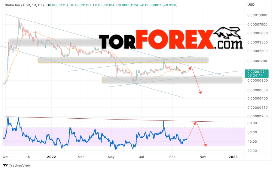 SHIBA INU прогноз на монеты 3 — 7 октября 2022