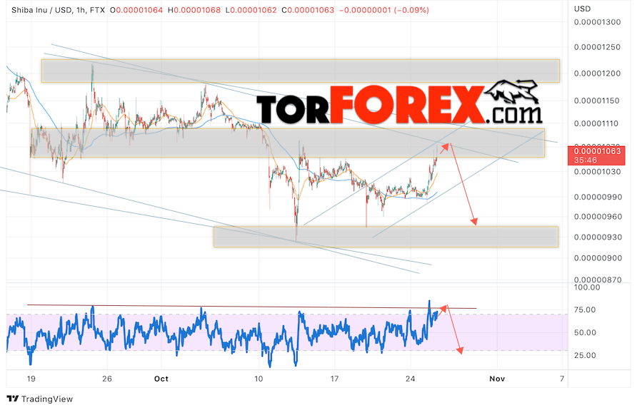 Shiba Inu прогноз курса на 27 октября 2022