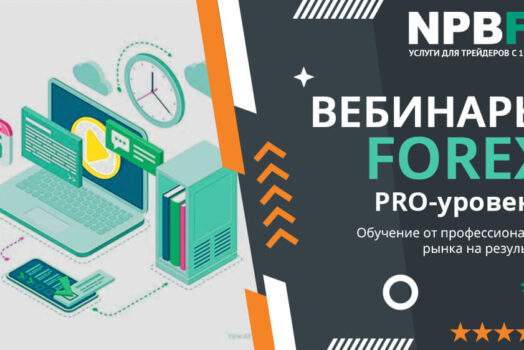 Вебинары Форекс для начинающих от надежного брокера NPBFX