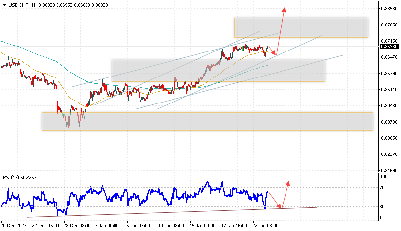 USD/CHF прогноз Доллар Франк на 24 января 2024