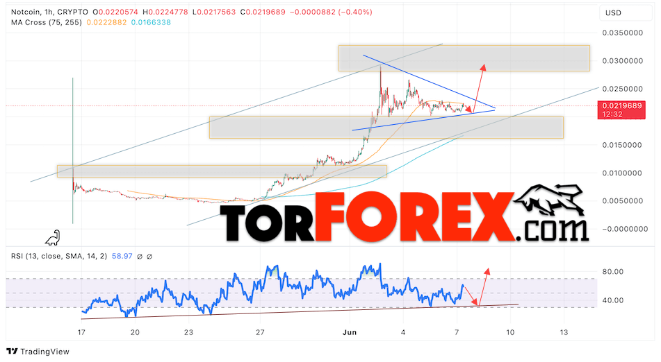 Notcoin прогноз Ноткоин на 10 — 14 июня 2024