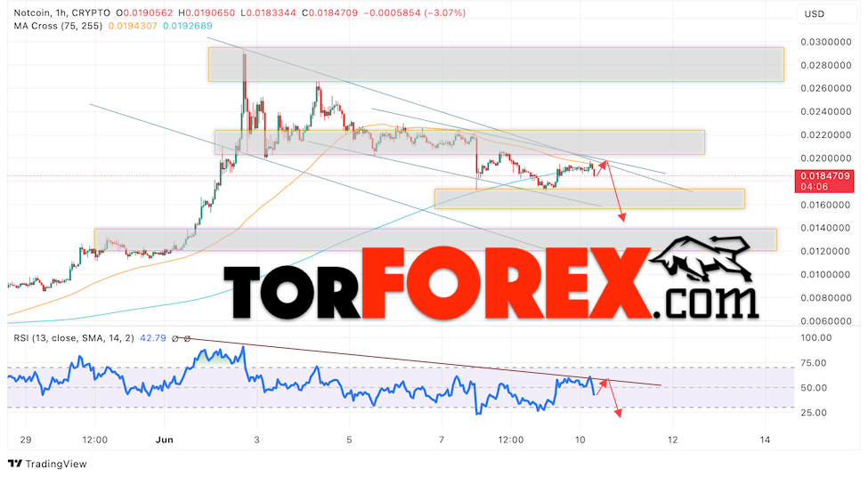 Notcoin прогноз Ноткоин на 11 июня 2024