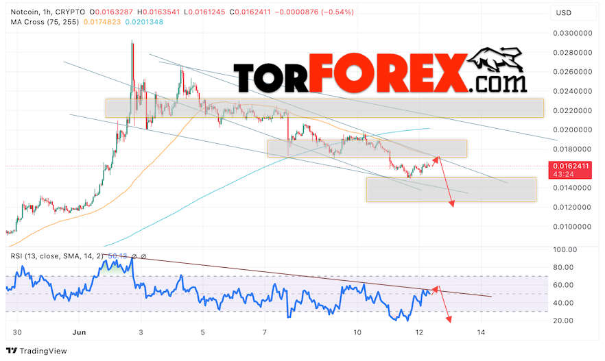 Notcoin прогноз Ноткоин на 13 июня 2024