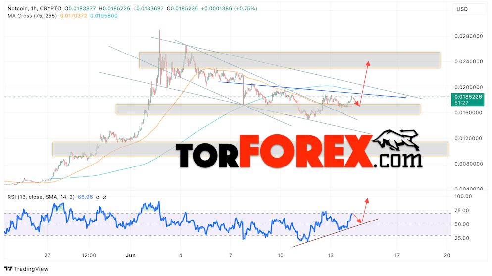 Notcoin прогноз Ноткоин на 17 — 21 июня 2024