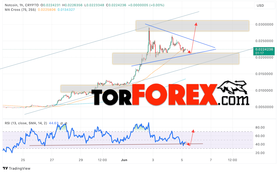 Notcoin прогноз Ноткоин на 6 июня 2024