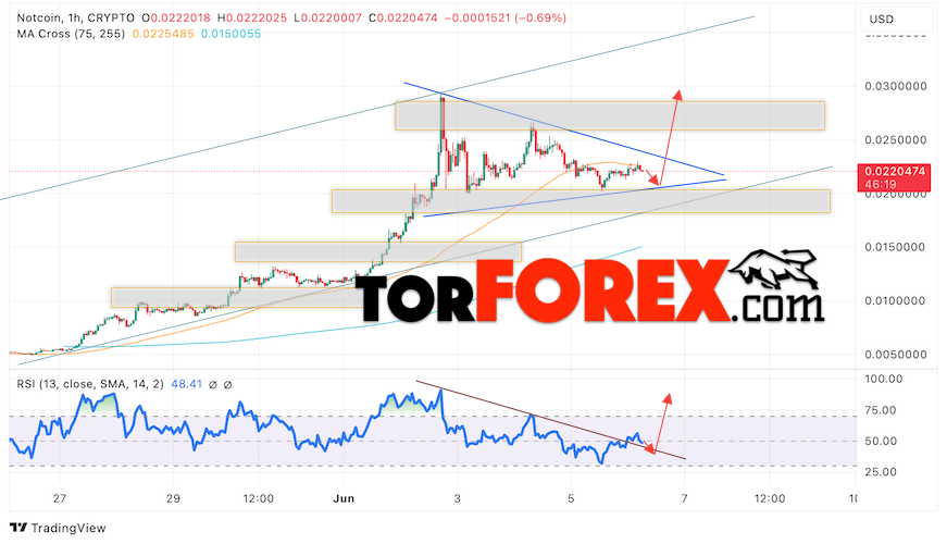Notcoin прогноз Ноткоин на 7 июня 2024