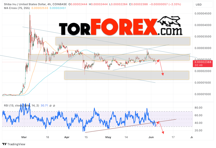 Shiba Inu прогноз курса на 4 июня 2024