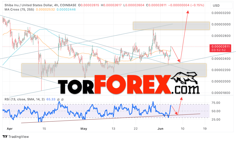 Shiba Inu прогноз курса на 6 июня 2024