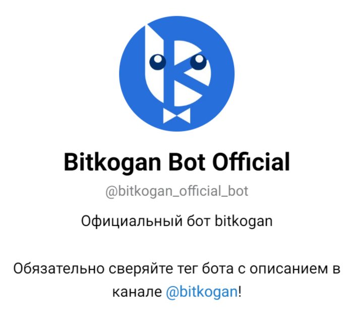 bitkogan дзен блоггер отзывы