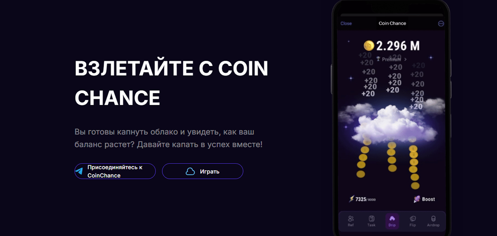 coin chance