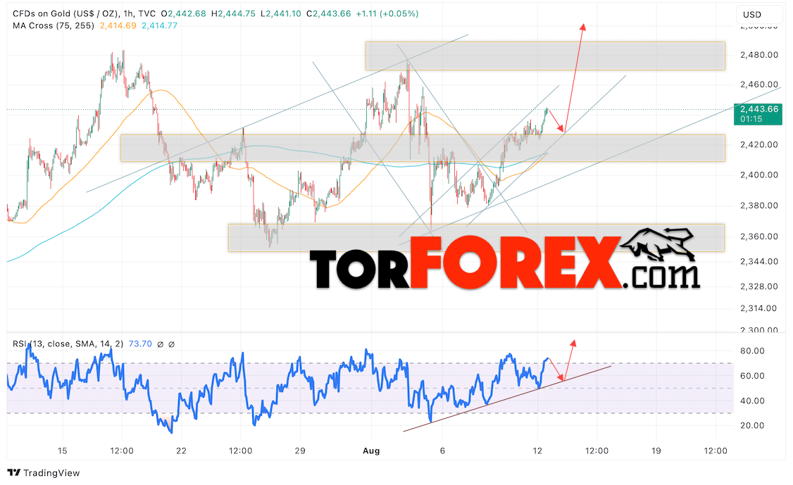 Цена Золота прогноз XAU/USD на 13 августа 2024