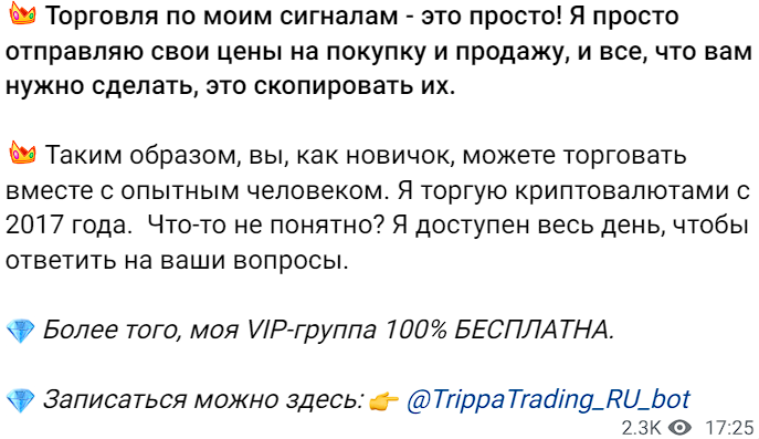 forex trippatrading