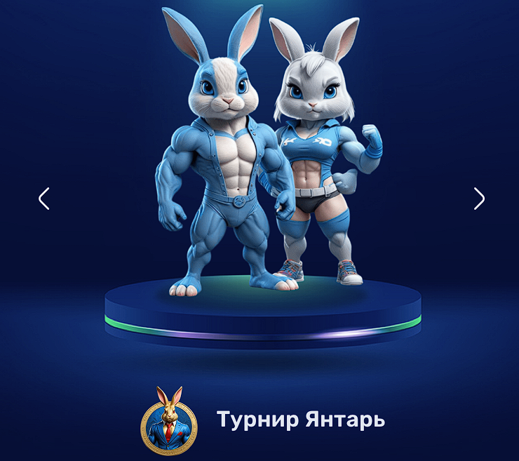 rocky rabbit чья игра