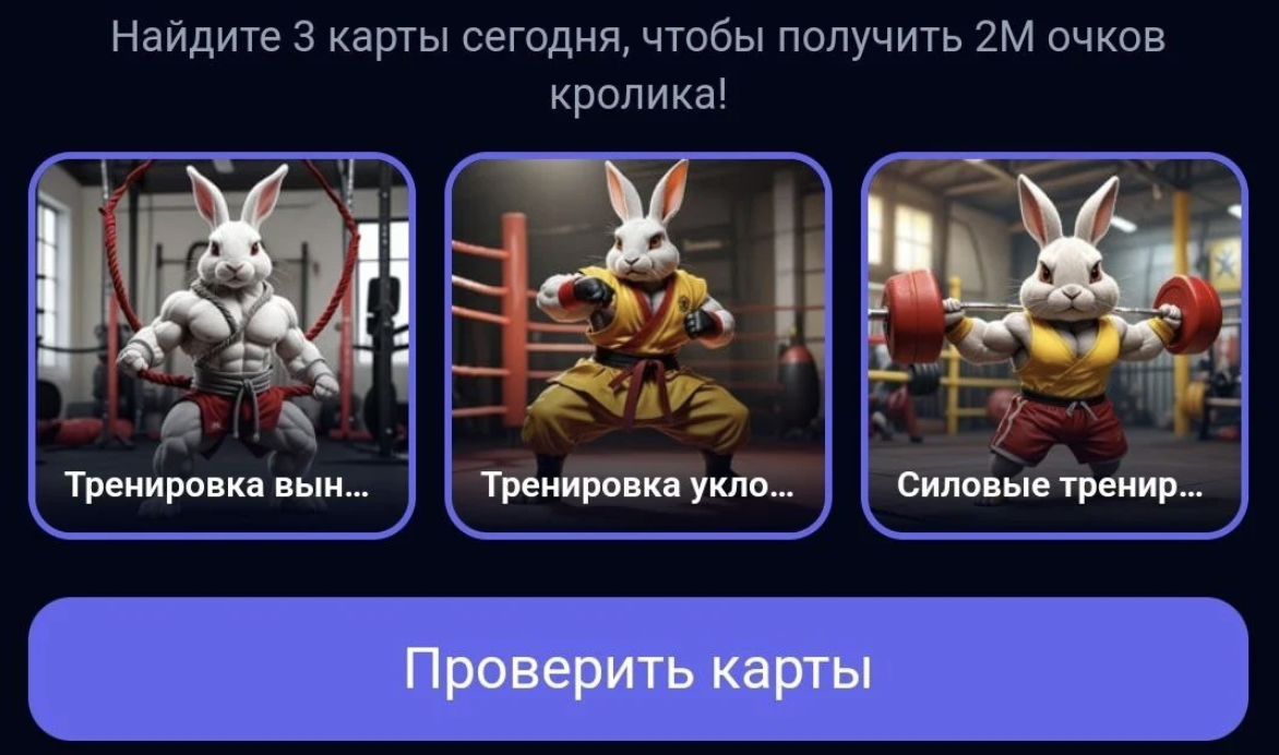 rocky rabbit комбо 30 августа