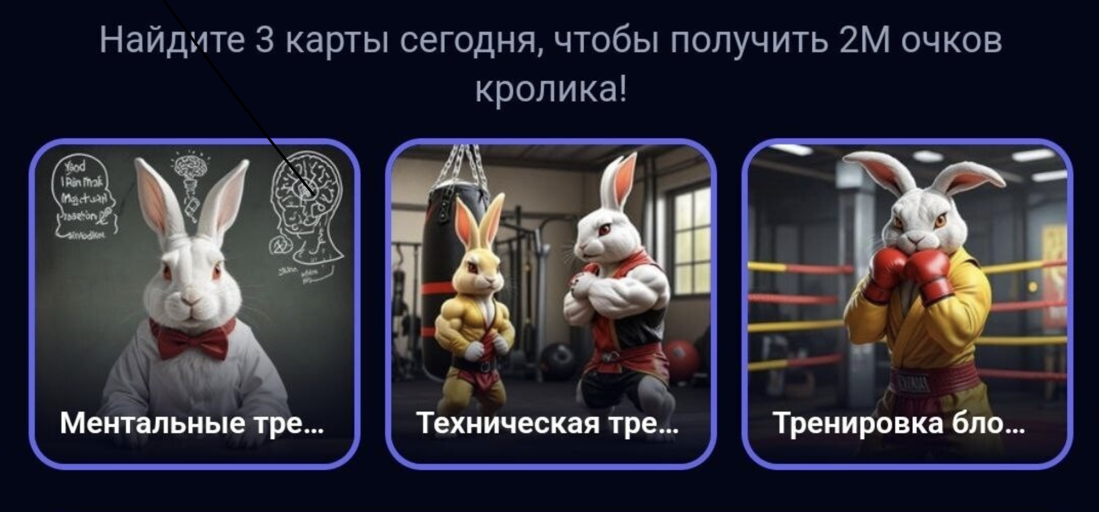 комбо rocky rabbit 31 августа