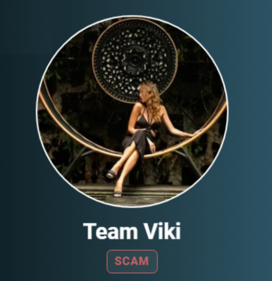 team viki