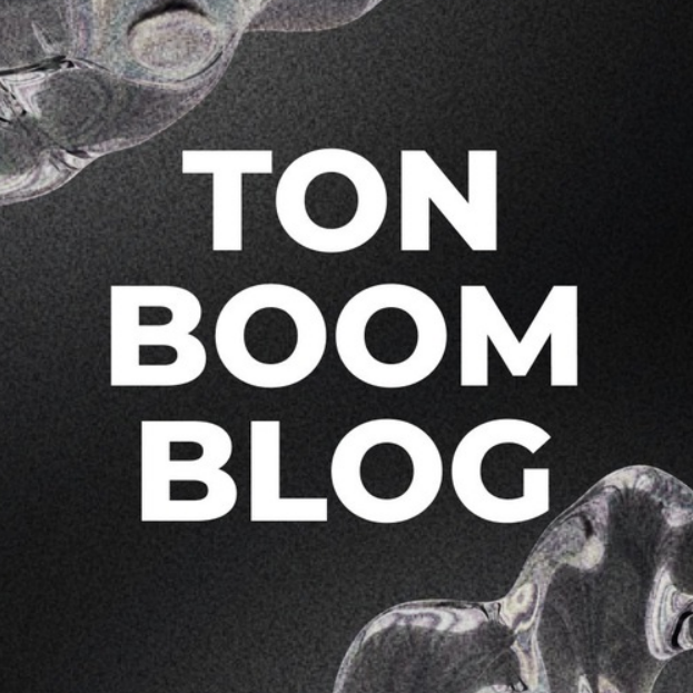 Ton Boom Blog