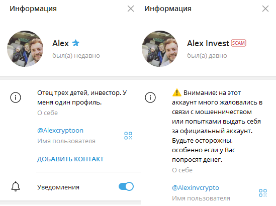 alexcryptoon