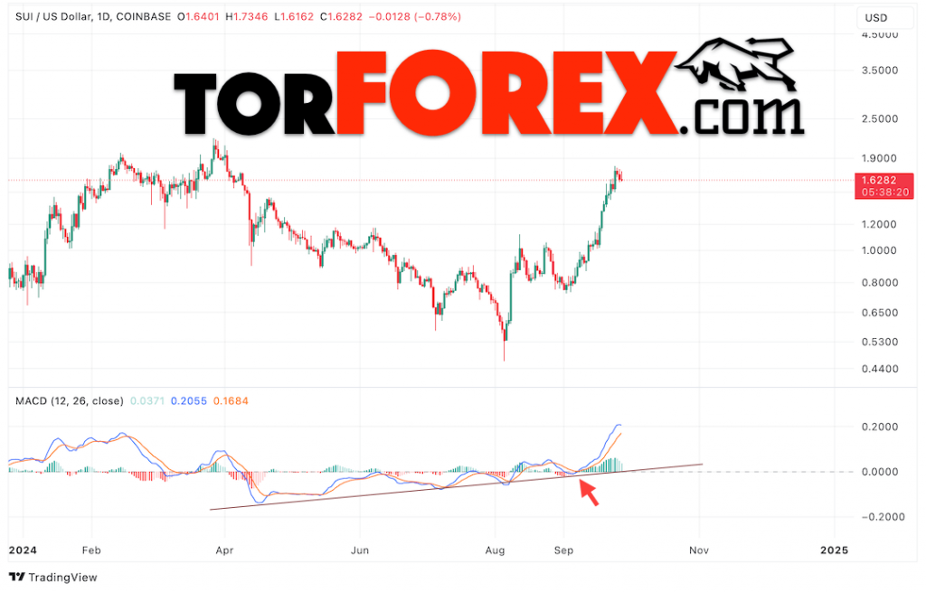 Анализ индикатора MACD для прогноза цены Sui