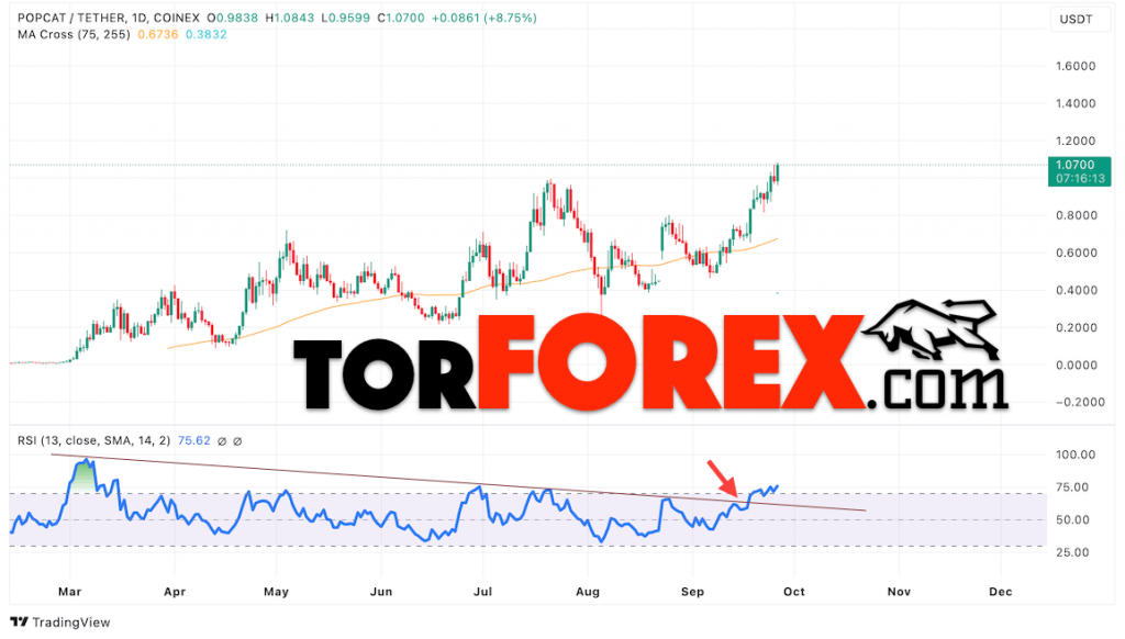 Анализ индикатора RSI для прогноза Popcat