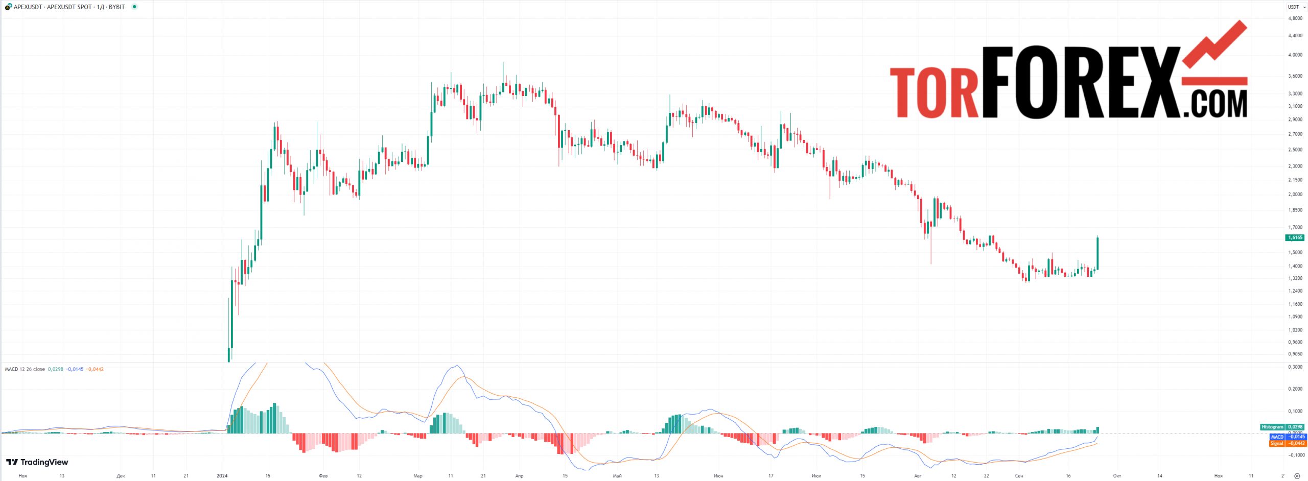 apex прогноз macd