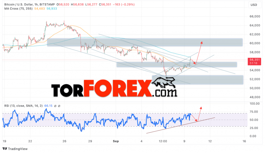 BTC/USD прогноз курса Биткоина на 10 сентября 2024