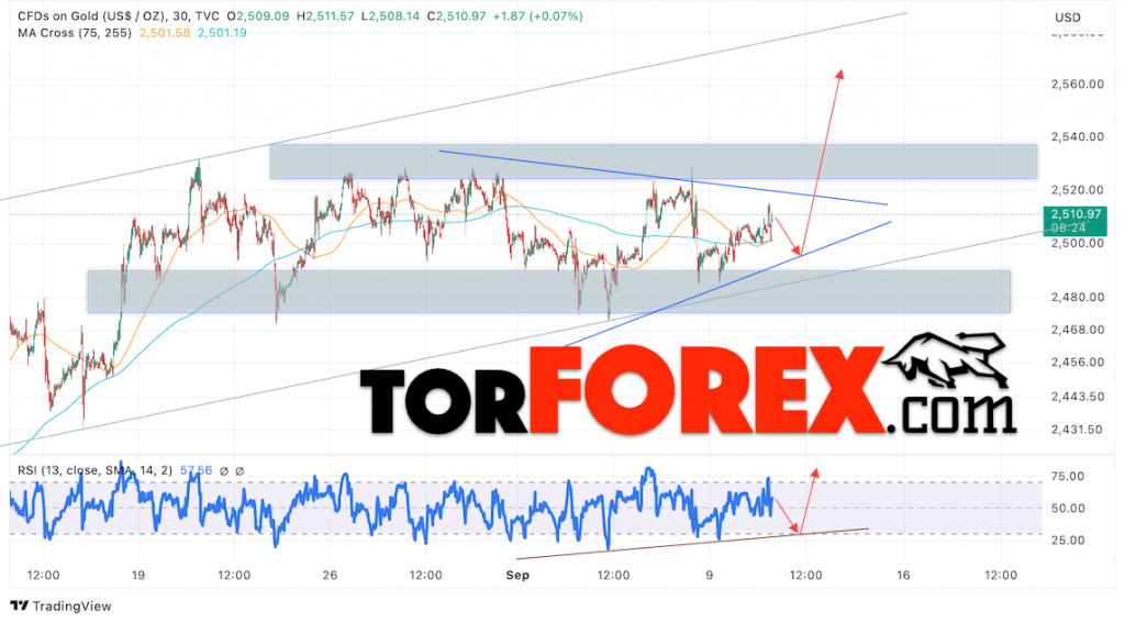 Цена Золота прогноз XAU/USD на 11 сентября 2024