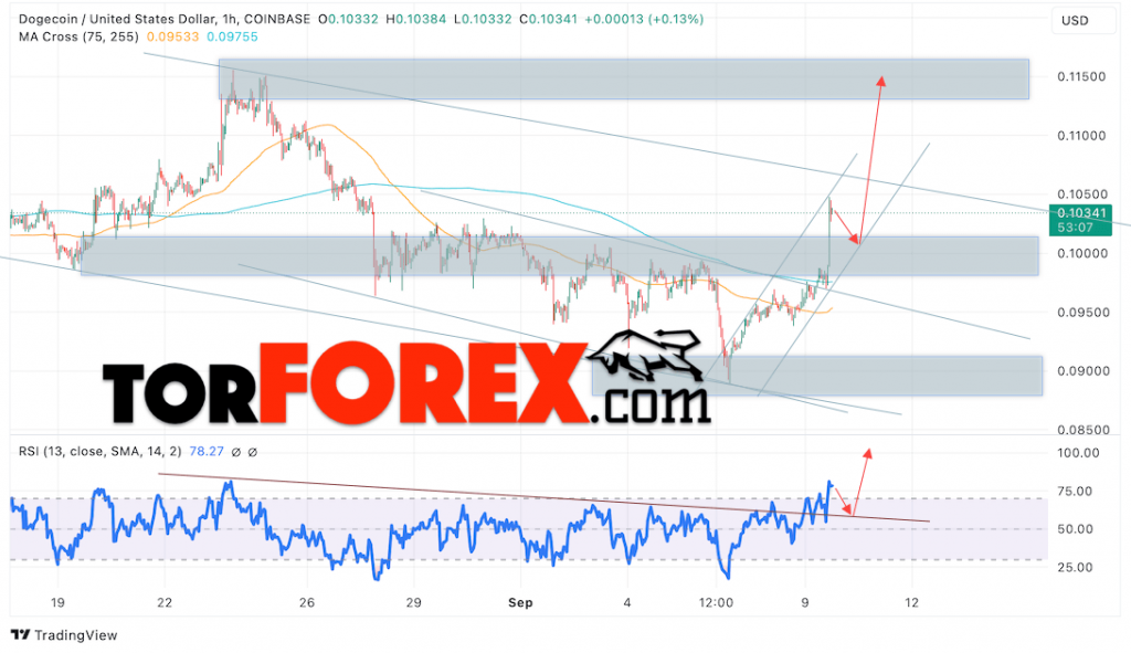 Dogecoin прогноз DOGE/USD на 10 сентября 2024