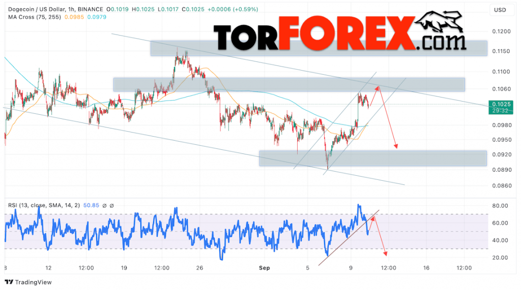 Dogecoin прогноз DOGE/USD на 11 сентября 2024