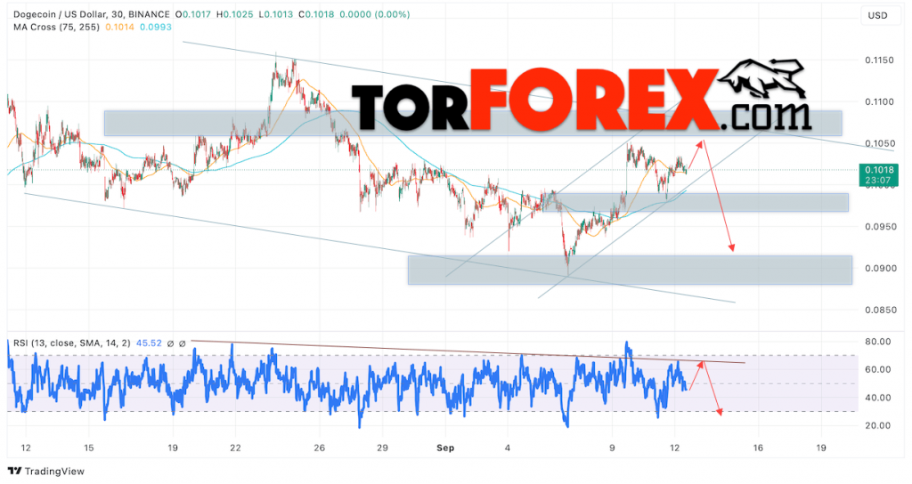 Dogecoin прогноз DOGE/USD на 13 сентября 2024