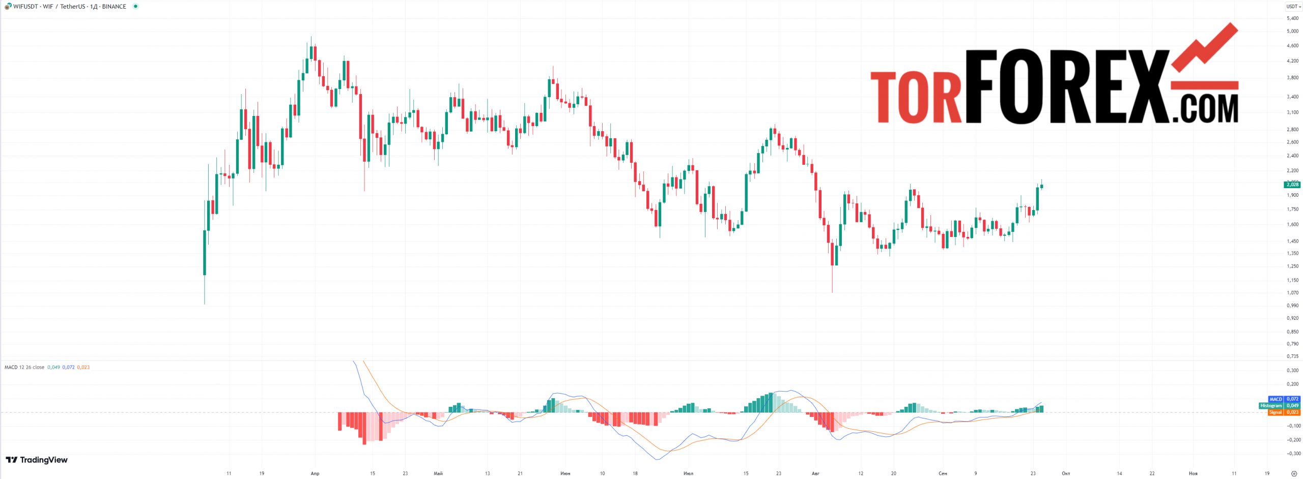 dogwifhat прогноз macd