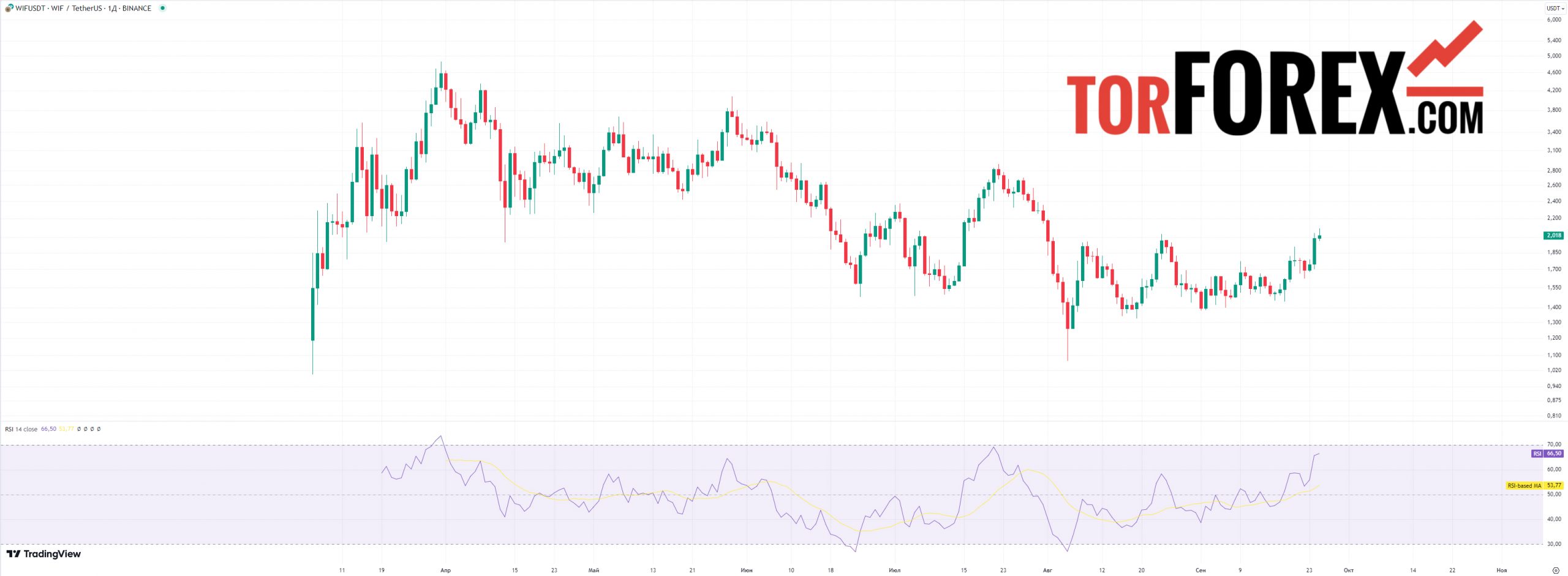 dogwifhat прогноз rsi