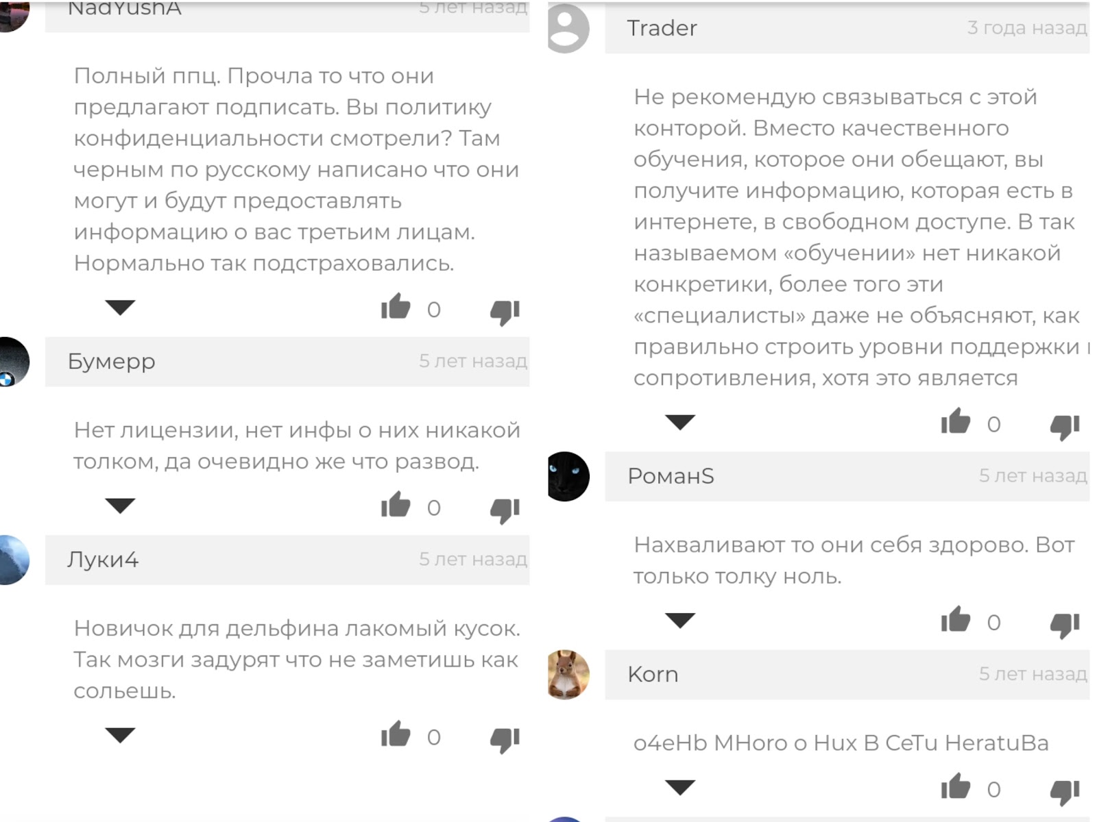 Dolphin Traders com Трейдинг Фондовый рынок