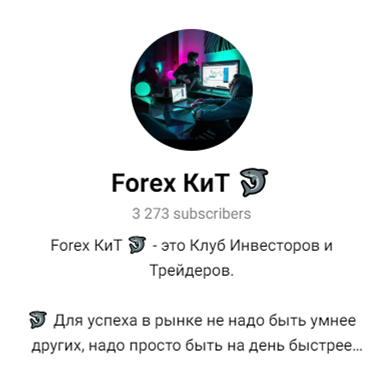 forex kit отзывы