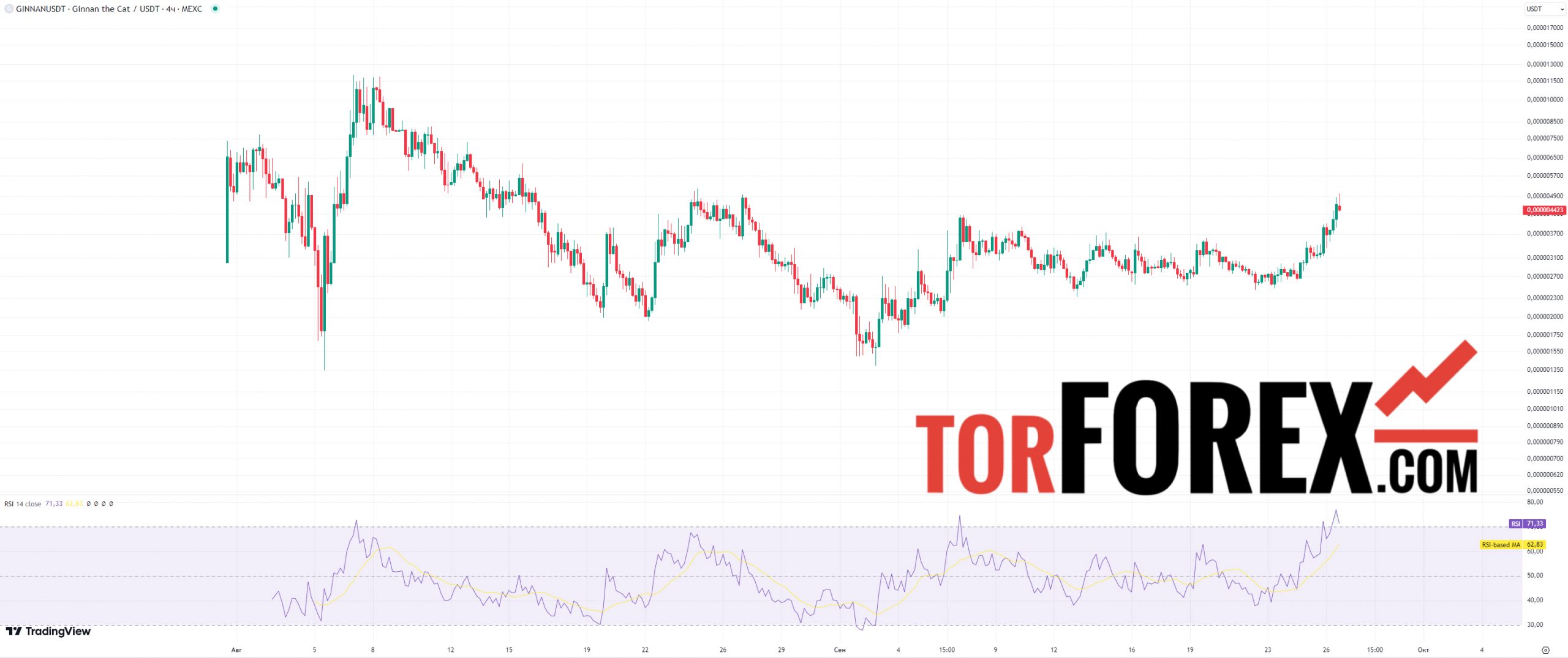 ginnan the cat прогноз rsi