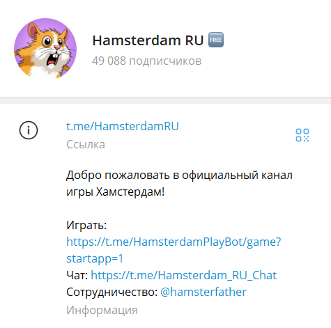 hamsterdam хомяк