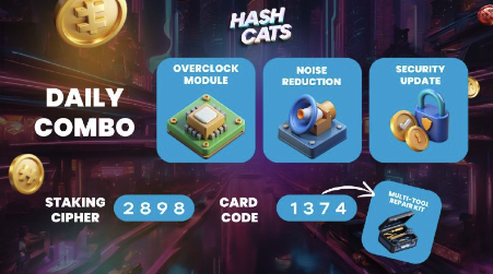 Hashcats 14 сентября