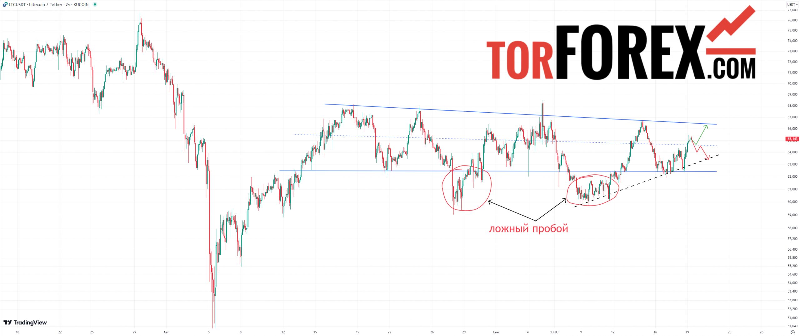 ltc usd прогноз на сегодня