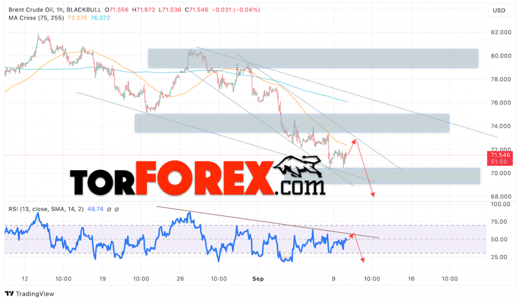 Нефть прогноз цены Brent на 10 сентября 2024