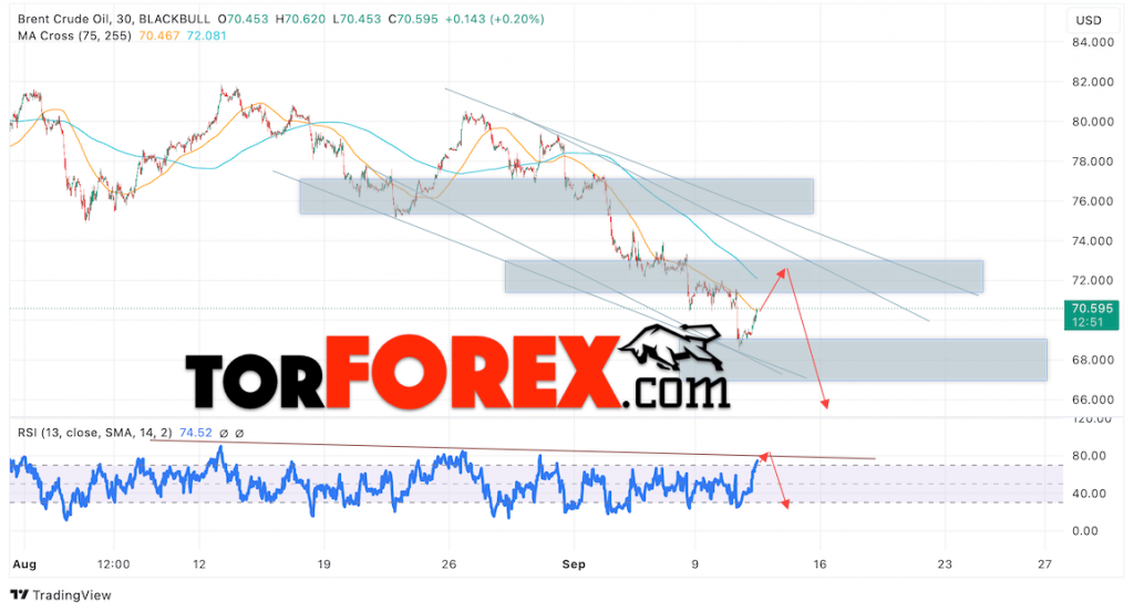 Нефть прогноз цены Brent на 12 сентября 2024